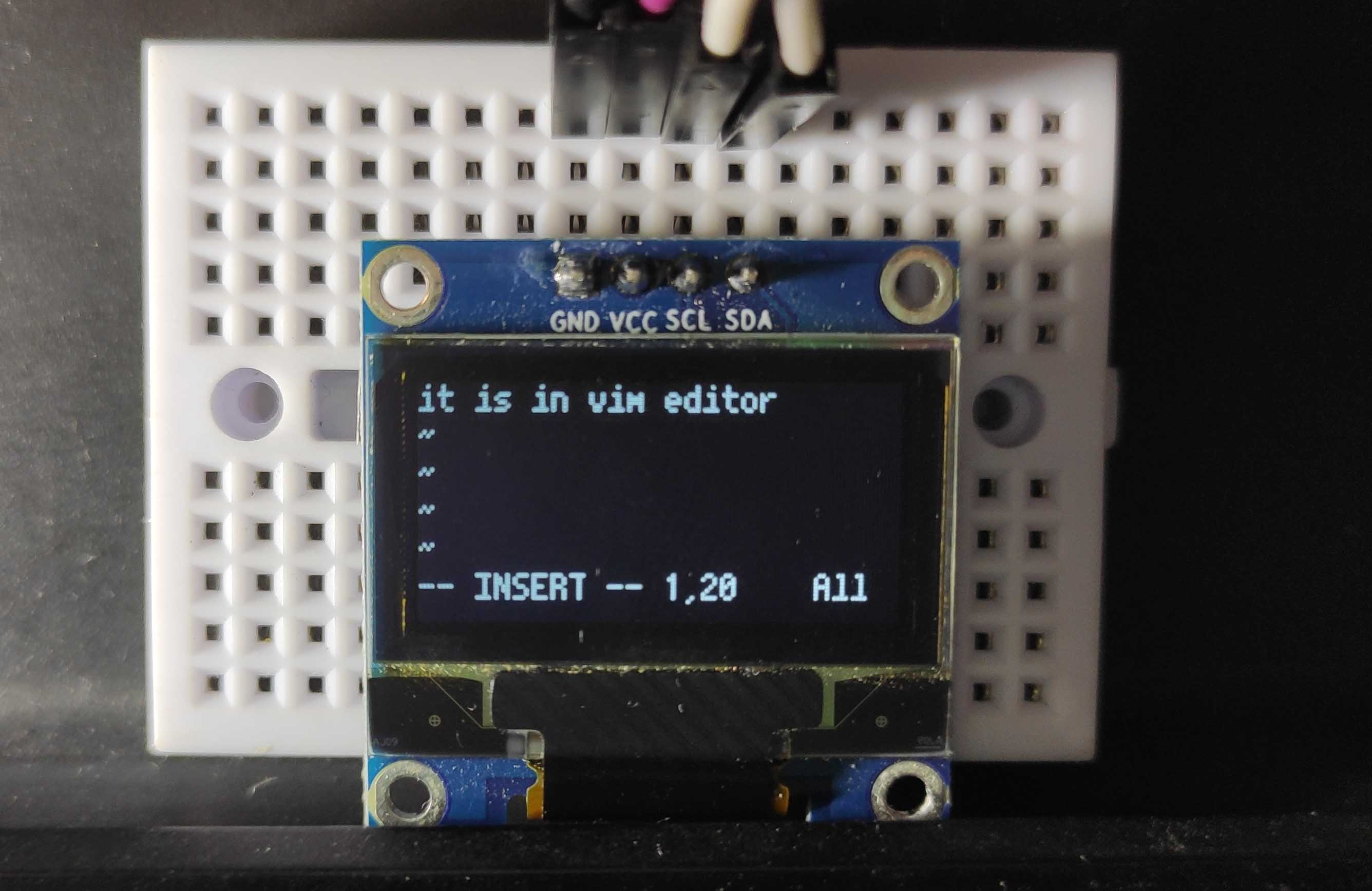 in_vim_editor